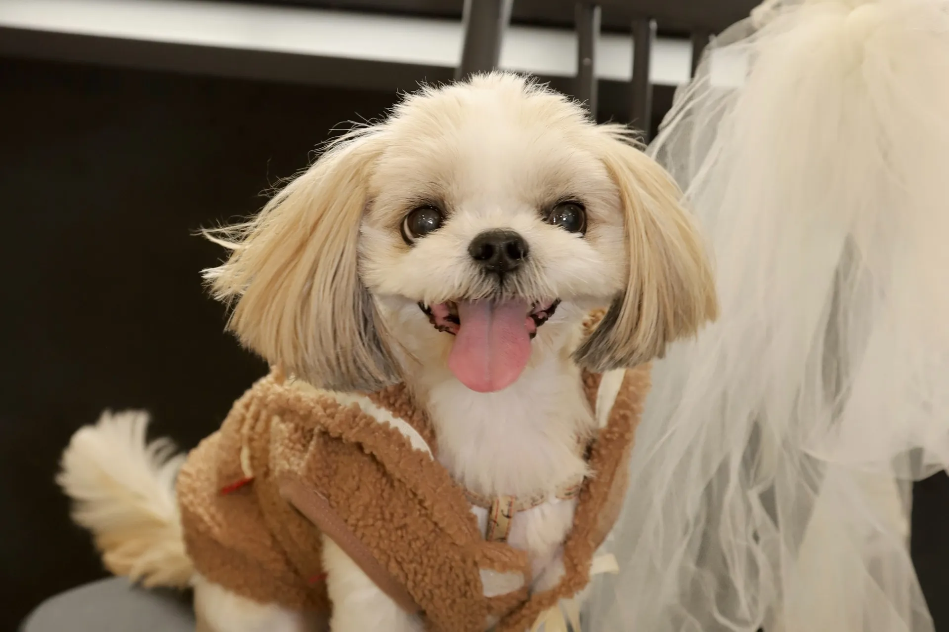 撮影をした感想、スタッフさんへ