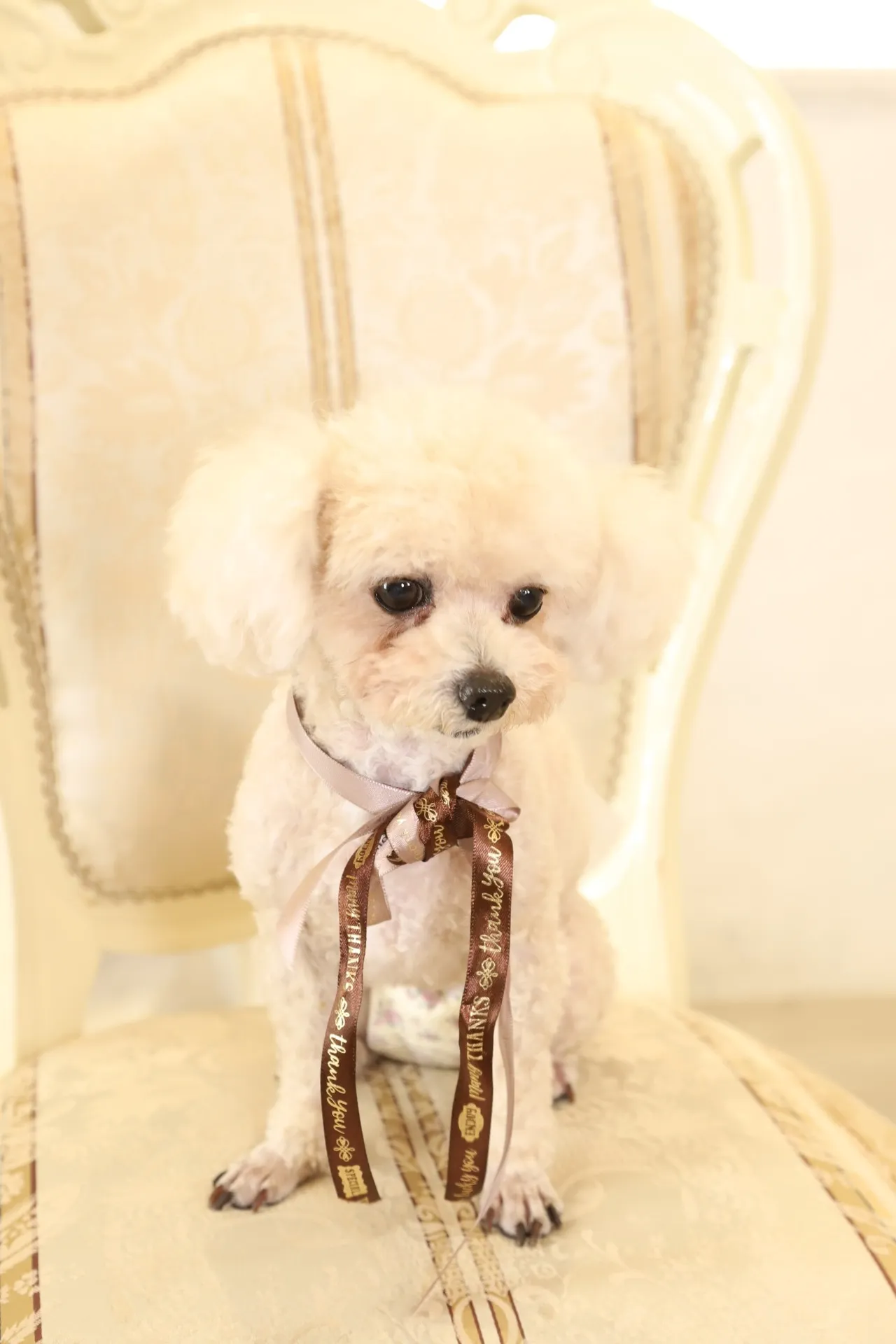 撮影をした感想、スタッフさんへ