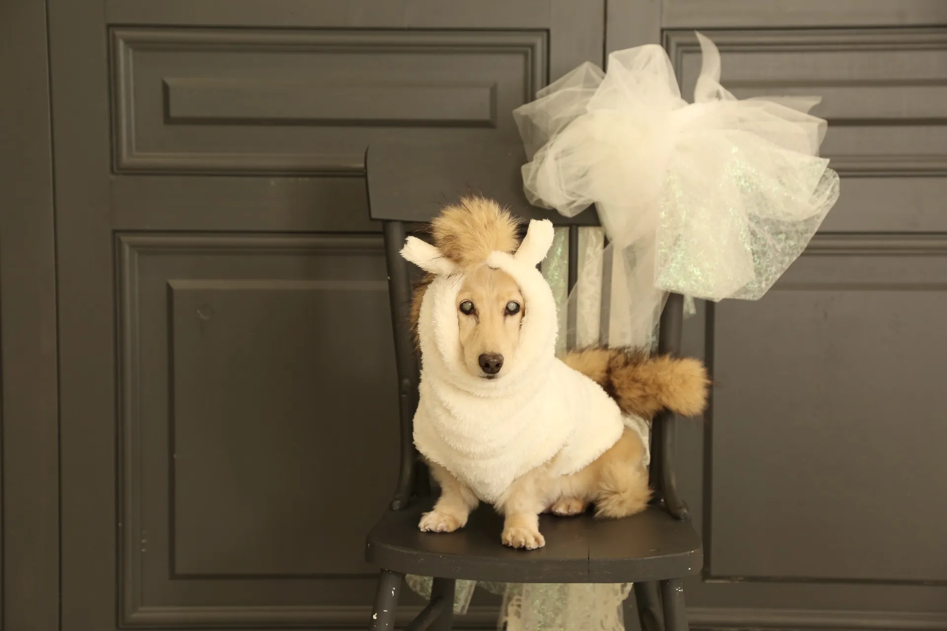 スタッフさんへ