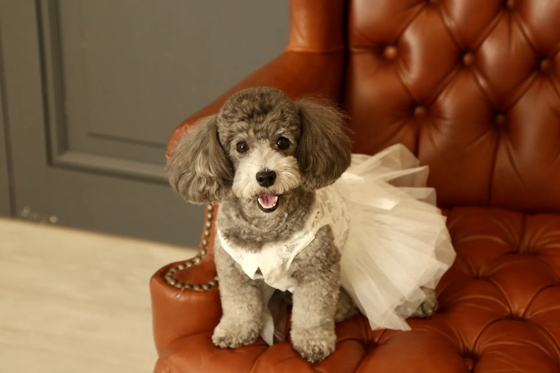 スタッフさんへ